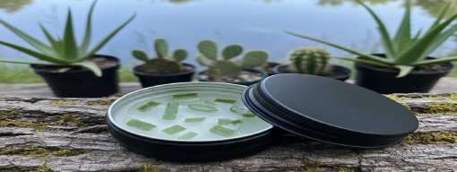 كريم الصبار ألوفيرا